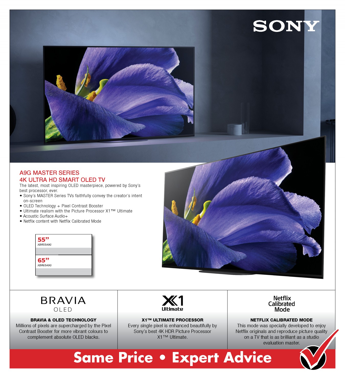 Sony A9G OLED 4K TV